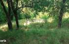 Roscani-Dobra-Teren Cabana-10km A1-Posibilitate Rate - 3