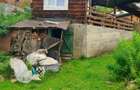 Vand casa cu teren intravilan 9 ari, bucatarie si pivnita