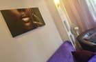 Inchiriere apartament 2 camere in Lujerului - Parcul Fabricii! - 7