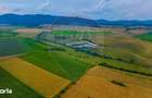 Oportunitate pentru fermieri: 10.800 mp teren arabil in Rotbav, Bra?ov - 6