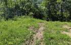 Vand teren, 4285 mp comuna Runcu jud Dambovita - 6