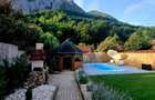 Se vinde casa de vacan?a cu vedere la munte in Valea Manastirii, Rame?i, jude?ul Alba - 10