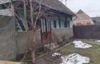 Casa cu teren generos de vanzare in Buteni, jud. Arad, fantana in curte, anexe, colne - 3