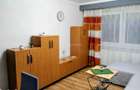Apartament cu 2 camere în Șega - 7