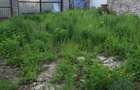Teren intravilan | 411 mp | Bucurestii Noi - 2