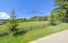Vatra Dornei - Saru Dornei, Teren S = 6450 mp; La 13 km de Vatra Dornei si la 6 km de Calimani - 9