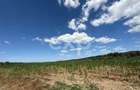 Teren 14.000 mp in Budeasa cu vedere superba catre baraj - 3