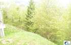 Teren situat in Predeal - 9