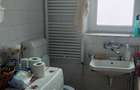 Casa cu pivnita si garaj, in Zona Elisabetin , str Eneas, Timisoara - 7