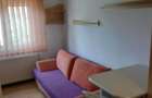 Garsoniera de inchiriat din uscatorie zona Blv Decebal - 3