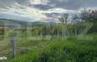 Teren extravilan de vanzare, 2.670 mp, Bistrita