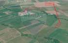 Teren 3000mp de vanzare in Rasnov / Panicel - 1