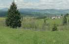 Teren de 45000 mp, în Ortoaia - 5