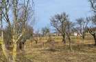 Teren Intravilan 43Ari zona Ortelec-Zalau intre case 4800eur/ar - 7
