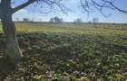 Construibil 2000mp intre case desc18m Topolog Tulcea - 5
