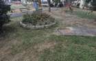 Inchiriez apartament 2 camere confort 1 sporit, decomandat, etaj 3(4), strada Banat, zona Cantemir, EON, Tudor. - 5