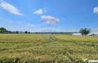 Teren 15,000mp Salcea-Prelipca, Suceava - Prelipca (Suceava) - 5