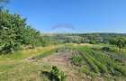 Casă / Vilă cu 5 camere în Baia-Bogata, Suceava - 58