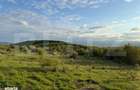 Salicea Hills ! Teren intravilan construibil,1000 mp, zona parc Moara - 4