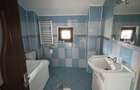 Proprietate cu 4.044 mp teren | Casa + anexe | 4050 min Bucuresti | Dragoesti | Ialomita - 6
