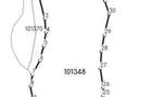Livada de Nuci, 11 Hectare comasate, Cisnadie, Jud. Sibiu - 9