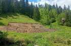 Teren de 3100 mp, în Muntele Băișorii - 6