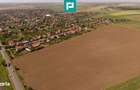 Teren extravilan de 28500 mp langa Sofronea - 4