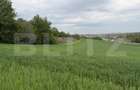 Teren intravilan, in localitatea Bobota in suprafata de 12.500 mp