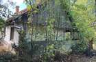 Teren intravilan de 3.500 mp in Viile Satu Mare - 4