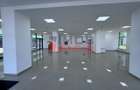 De vanzare spatiu comercial 205 mp str. Calea Moldovei - 5