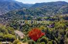 Teren intravilan zona Schei Brasov
