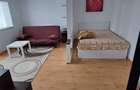 Apartament 1 camera zona Steaua de vanzare - 5