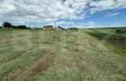 Teren Intravilan, pretabil case, 2000 mp, zona Moara Carp - 2