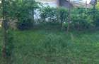 Teren 2588 mp + casa | Deschidere 58,59 m | COL? 2 strazi | Pietrarii de Jos, Valcea - 4