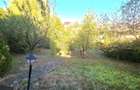 Casa superba single, Orizont-Livezeni, 920 mp teren, regim S+P+E