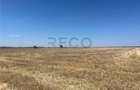 RECO Teren extravilan Ucuris- Olcea 44 000 mp - 1