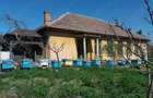 Vand Casa Maglavit -Calea Severinului