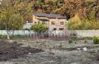 Teren de vanzare oras Voluntari-Colentina Padurea Andronache - 2