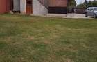 Vand casa P+M, Contesti DB ( Proprietar ) - 1