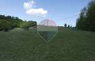 Teren de vanzare Preluca Noua, 1.5 ha, potential turistic - 2