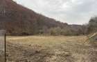 Vand teren intravilan zona Faget Sf. Ion - 4