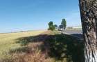 Vanzare teren Buftea | Strada Milano | Intravilan - 1