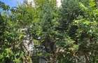Vanzare 2 camere - Tineretului parc - 14