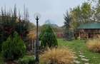 Sisesti | 3 Camere | Centrala | X2 Bai | 96 MP | Parcare | - 7