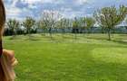 Cabana de lemn, 2 camere, teren 850 mp, livada, Oarda, Alba Iulia - 3