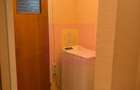 Apartament cu vedere panoramica catre Parcul Plumbuita- Colentina. - 17