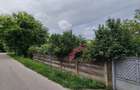 Casă cu 2 camere cu Teren 2500 Mp în Peșteana - 5