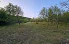 Vand teren in loc. Ulies, com. Gurasada, jud. Hunedoara - 2