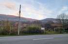 Vand teren intravilan Valea Doftanei - 4