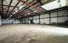 Hala 850mp zona industriala Vest - 4